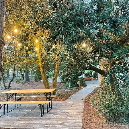 فيلة Mastricale *